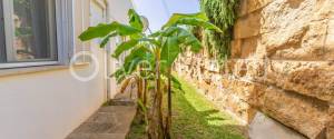 PLANTA BAJA JUNTO A LA PLAYA CON PISCINA COMUNITARIA Y JARDÍN PROPIO