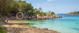 PLANTA BAJA JUNTO A LA PLAYA CON PISCINA COMUNITARIA Y JARDÍN PROPIO