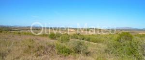 FINCA RUSTICA DE 120.000M² EDIFICABLE