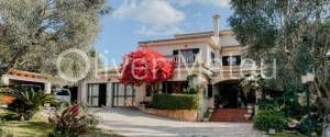 VILLA WITH POOL, GARAGE AND GARDEN