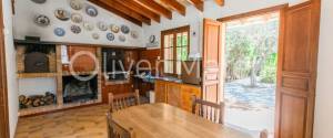 LARGE VILLA WITH POOL, GARAGE, GARDEN AND TREE ORCHARD