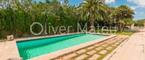 LARGE VILLA WITH POOL, GARAGE, GARDEN AND TREE ORCHARD