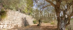 FINCA CON GRAN TERRENO Y FANTÁSTICAS VISTAS EN VALLDEMOSSA