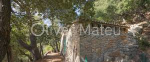 FINCA CON GRAN TERRENO Y FANTÁSTICAS VISTAS EN VALLDEMOSSA