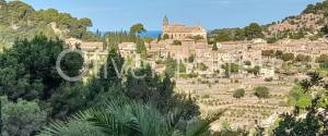 FINCA CON GRAN TERRENO Y FANTÁSTICAS VISTAS EN VALLDEMOSSA