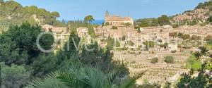 FINCA CON GRAN TERRENO Y FANTÁSTICAS VISTAS EN VALLDEMOSSA