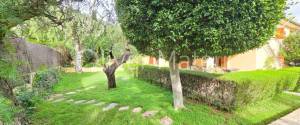 CHALET UNIFAMILIAR CON JARDÍN, PISCINA Y GARAJE